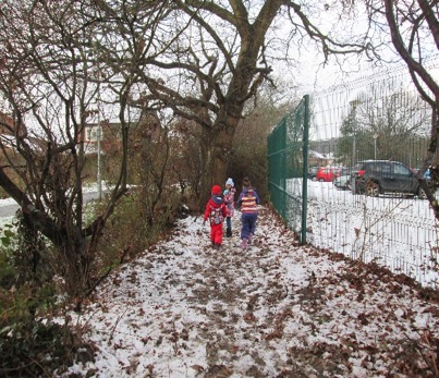 Snowy Woodland Walk