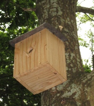 Bird box